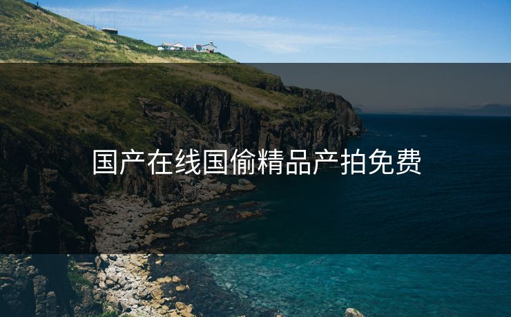 国产在线国偷精品产拍免费