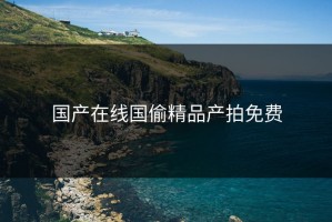 国产在线国偷精品产拍免费