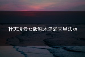 壮志凌云女版啄木鸟满天星法版