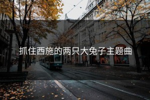 抓住西施的两只大兔子主题曲