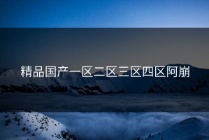 精品国产一区二区三区四区阿崩