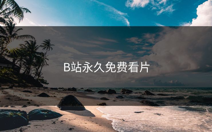 B站永久免费看片