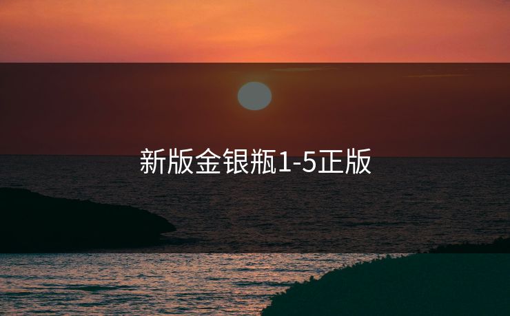 新版金银瓶1-5正版