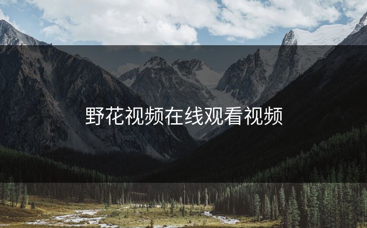 野花视频在线观看视频