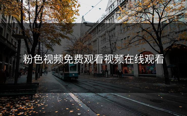 粉色视频免费观看视频在线观看