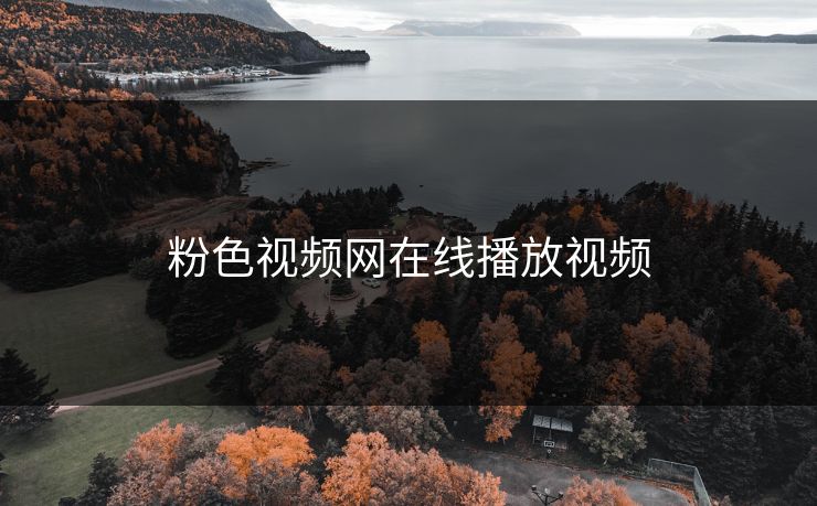 粉色视频网在线播放视频