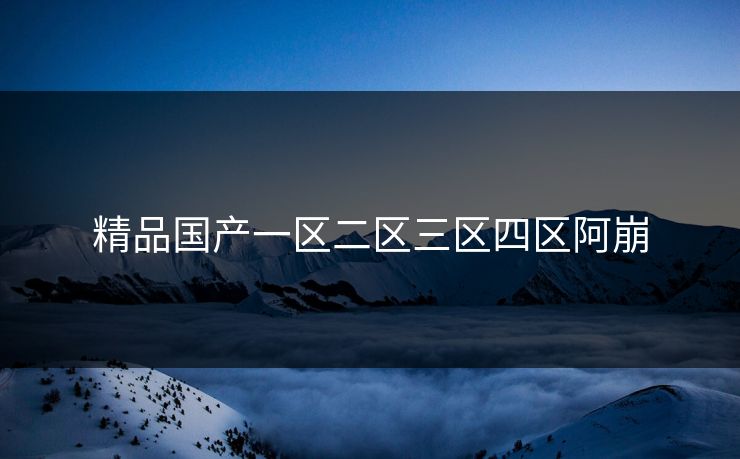 精品国产一区二区三区四区阿崩