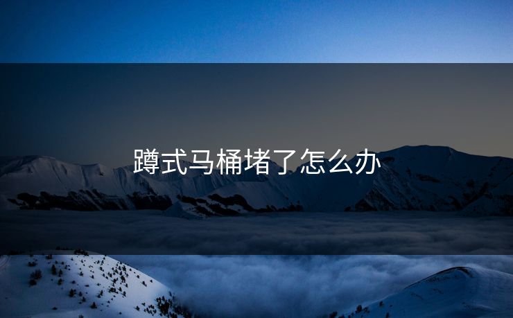 蹲式马桶堵了怎么办